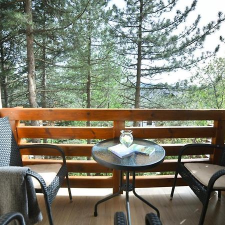 Apartman Silver Lux Ζλάτιμπορ Εξωτερικό φωτογραφία